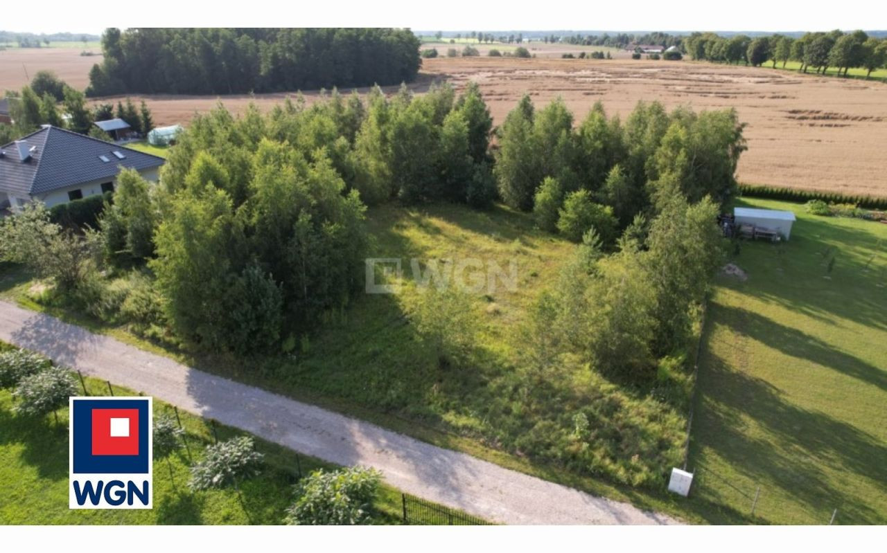 gratka-42050032 - Więcej