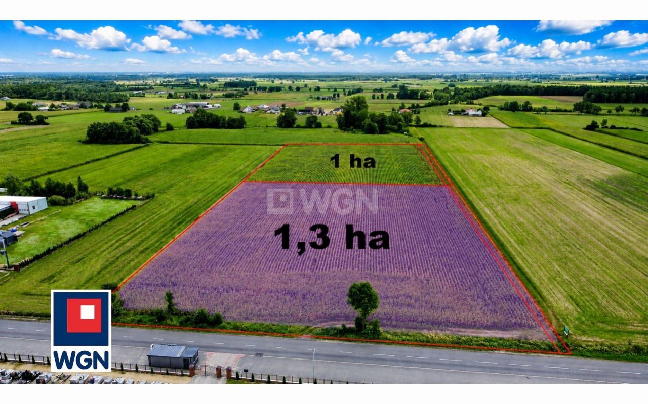 gratka-103290020 - Widok 2