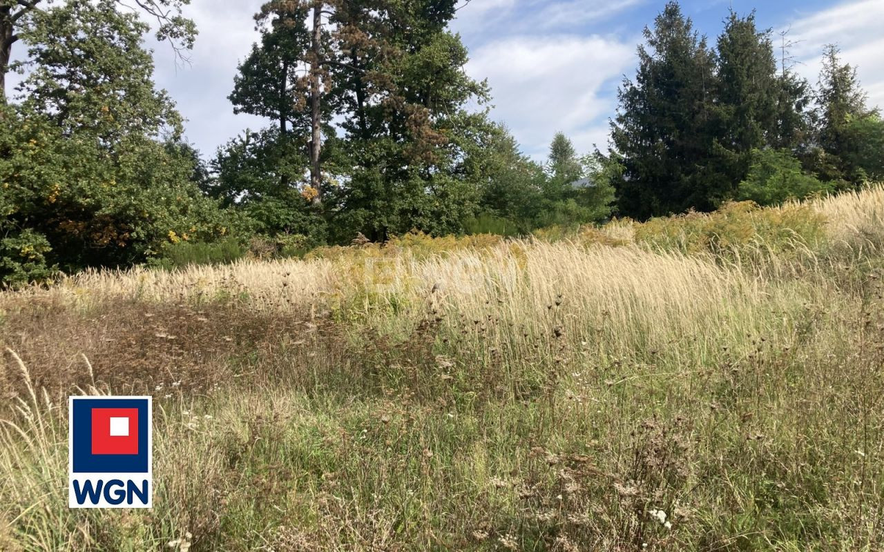 gratka-104170020 - Widok 4