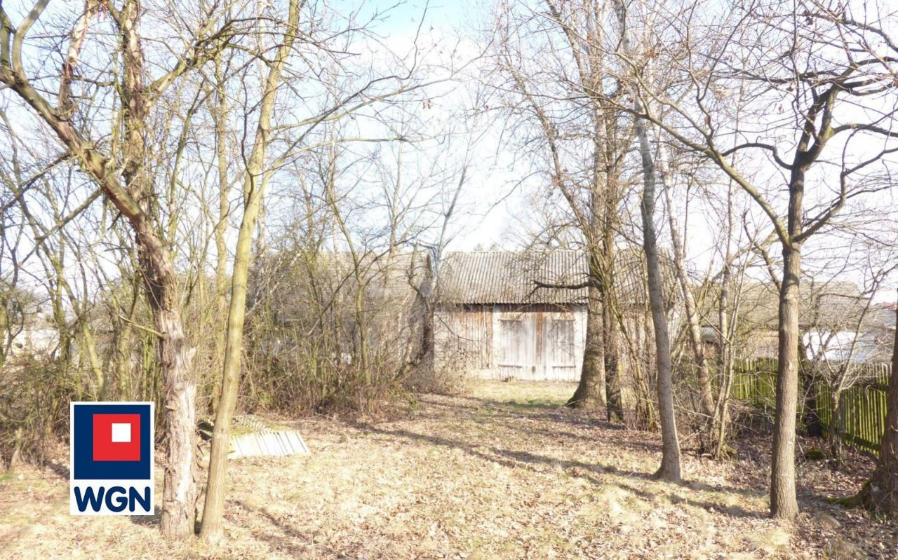 gratka-113660188 - Więcej