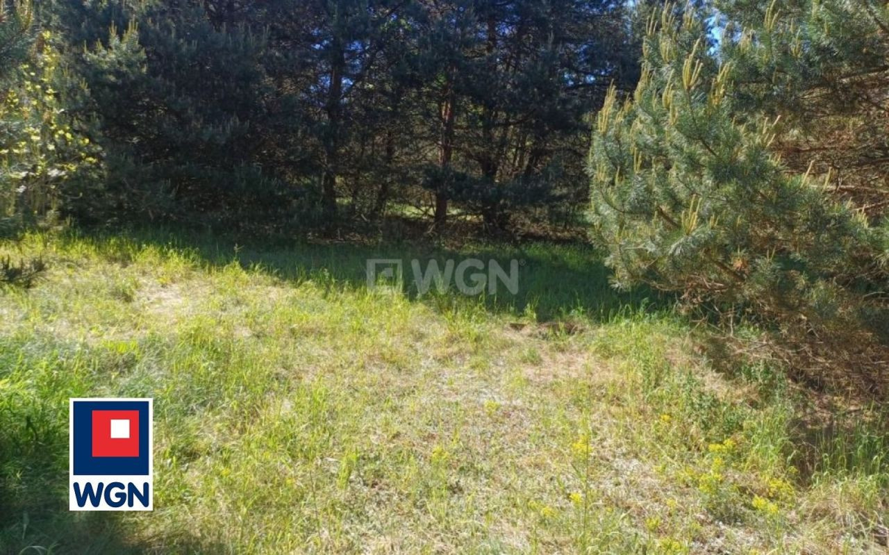 gratka-13570181 - Widok 5
