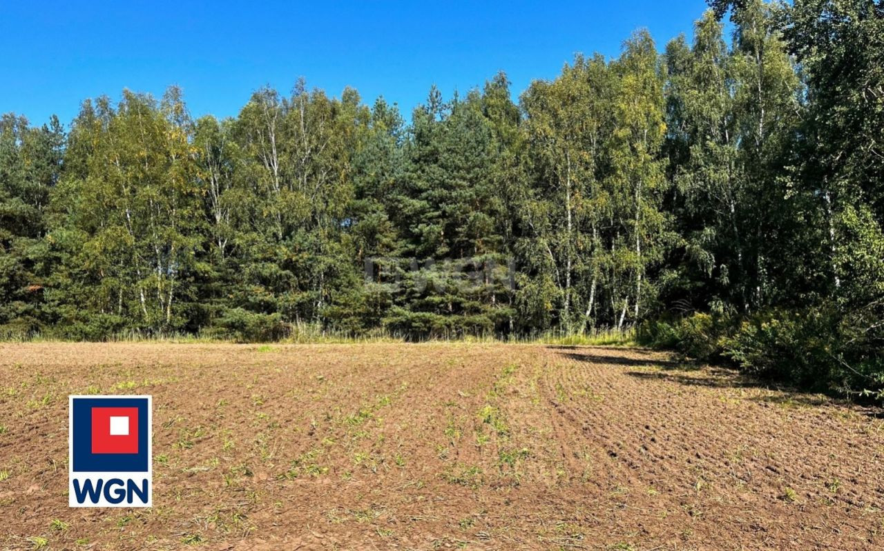 gratka-1500097 - Widok 2