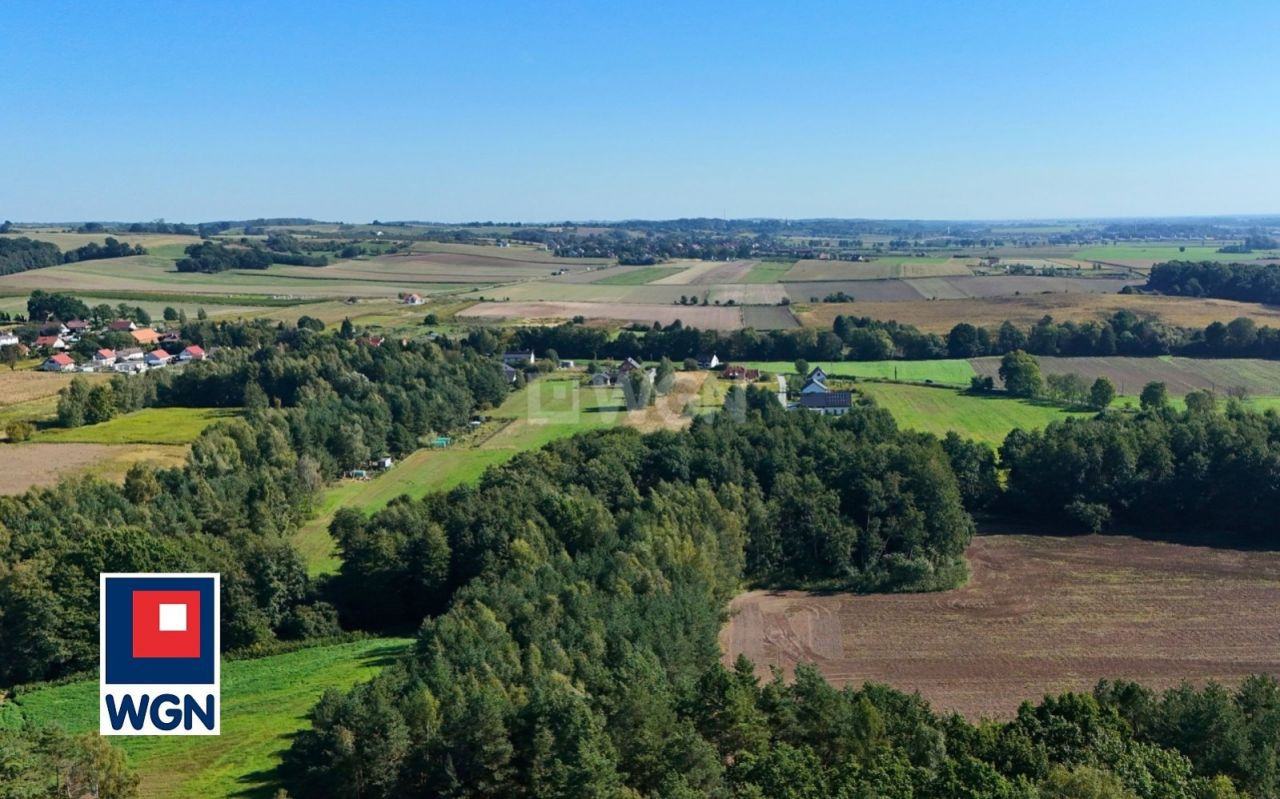 gratka-1500097 - Widok 4