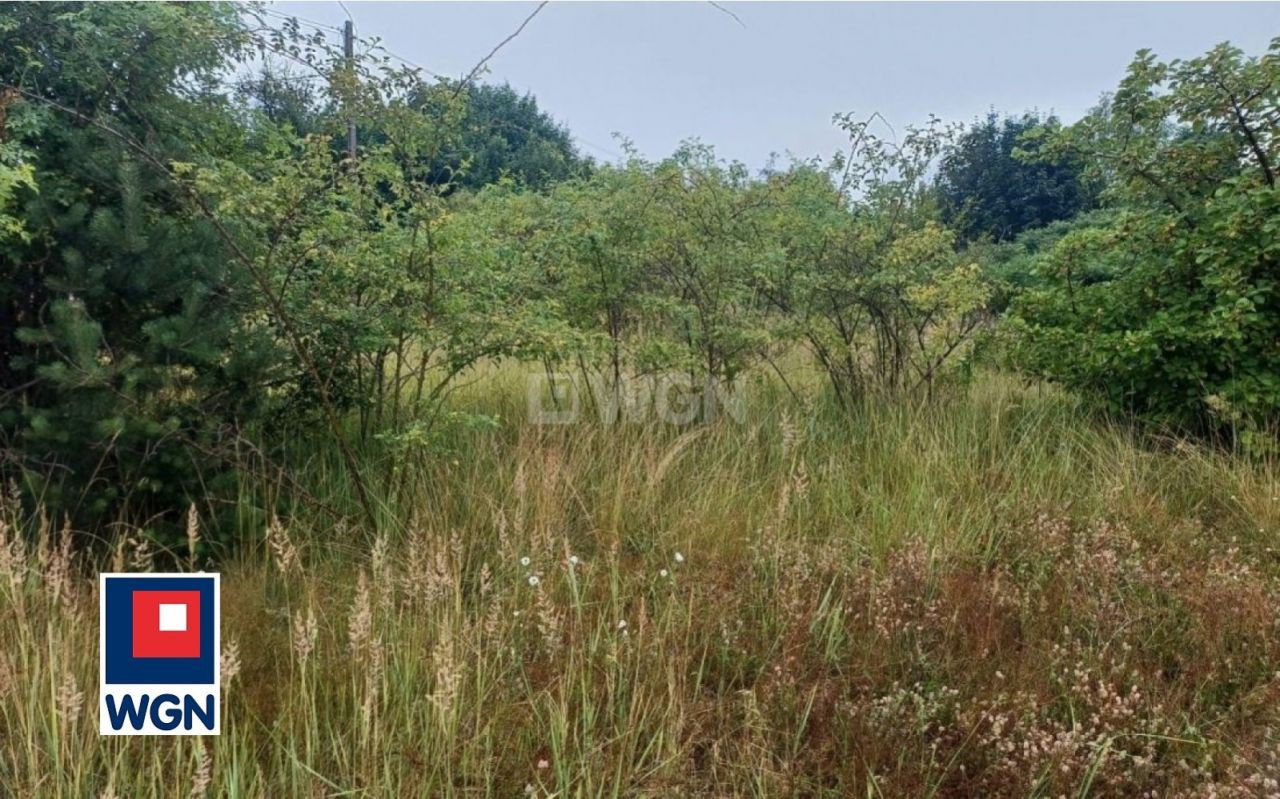 gratka-16830181 - Widok 3