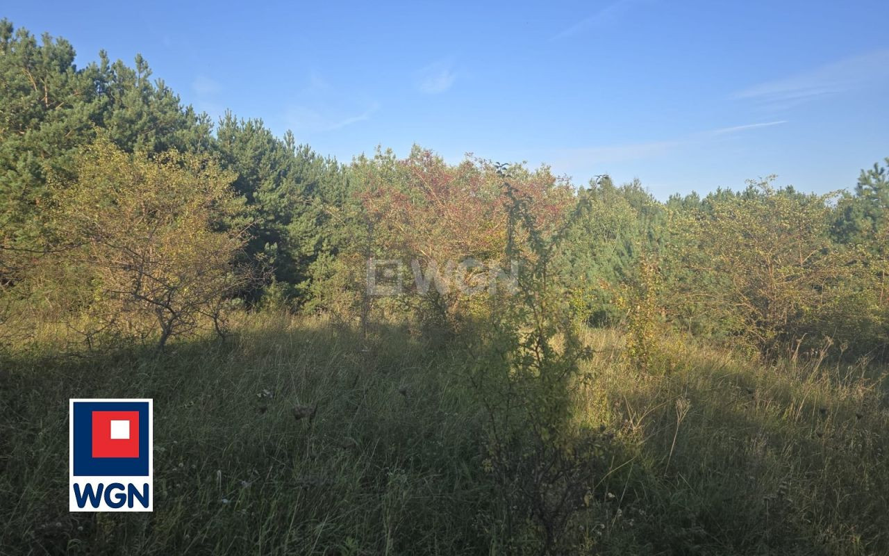 gratka-27690154 - Widok 5