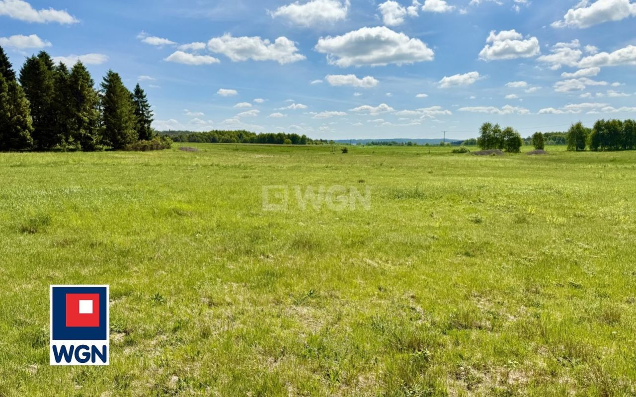 gratka-348950030 - Widok 6