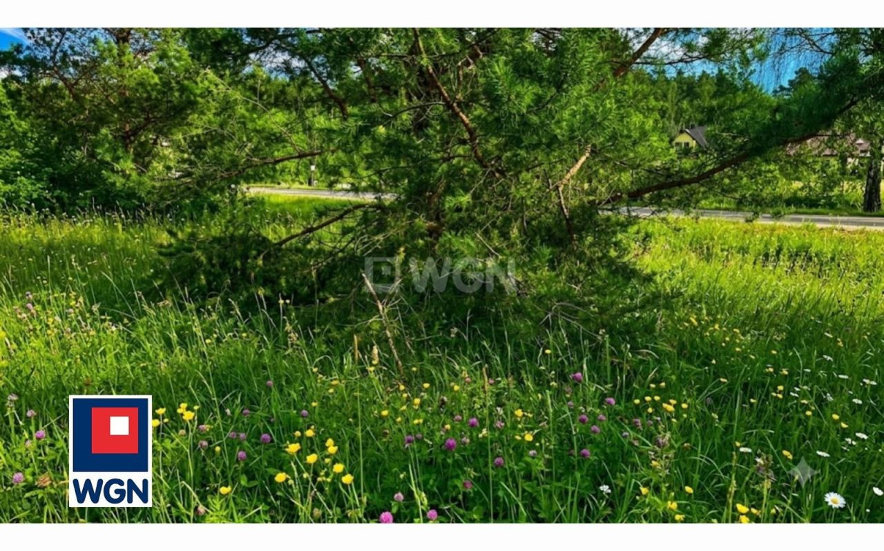 gratka-360400030 - Więcej