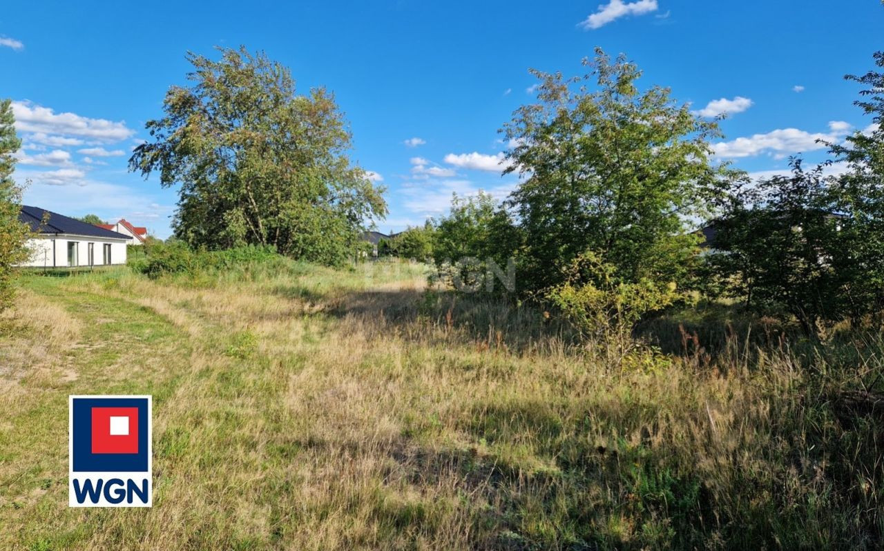 gratka-65370186 - Więcej