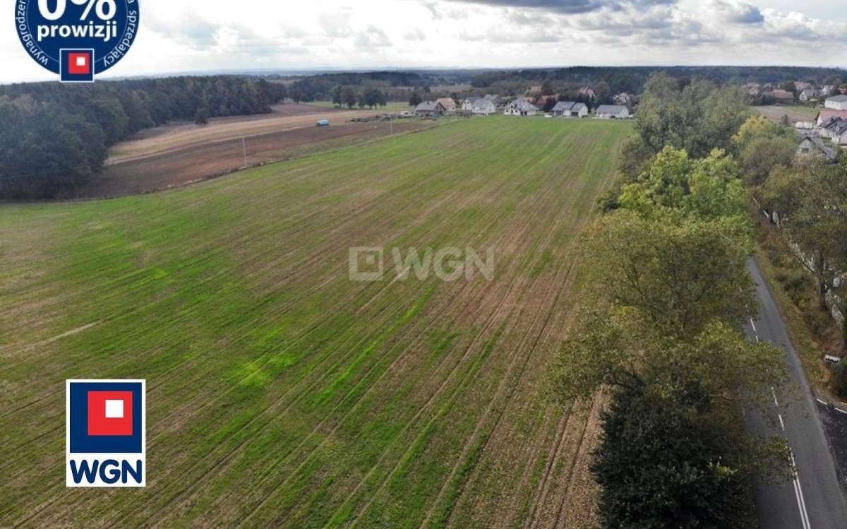gratka-128480015 - Widok 2