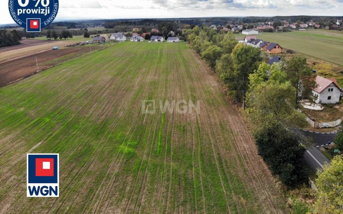 gratka-128480015 - Więcej