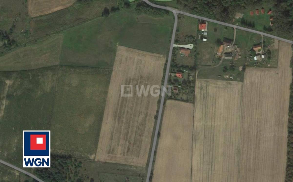 gratka-31050010 - Widok 2