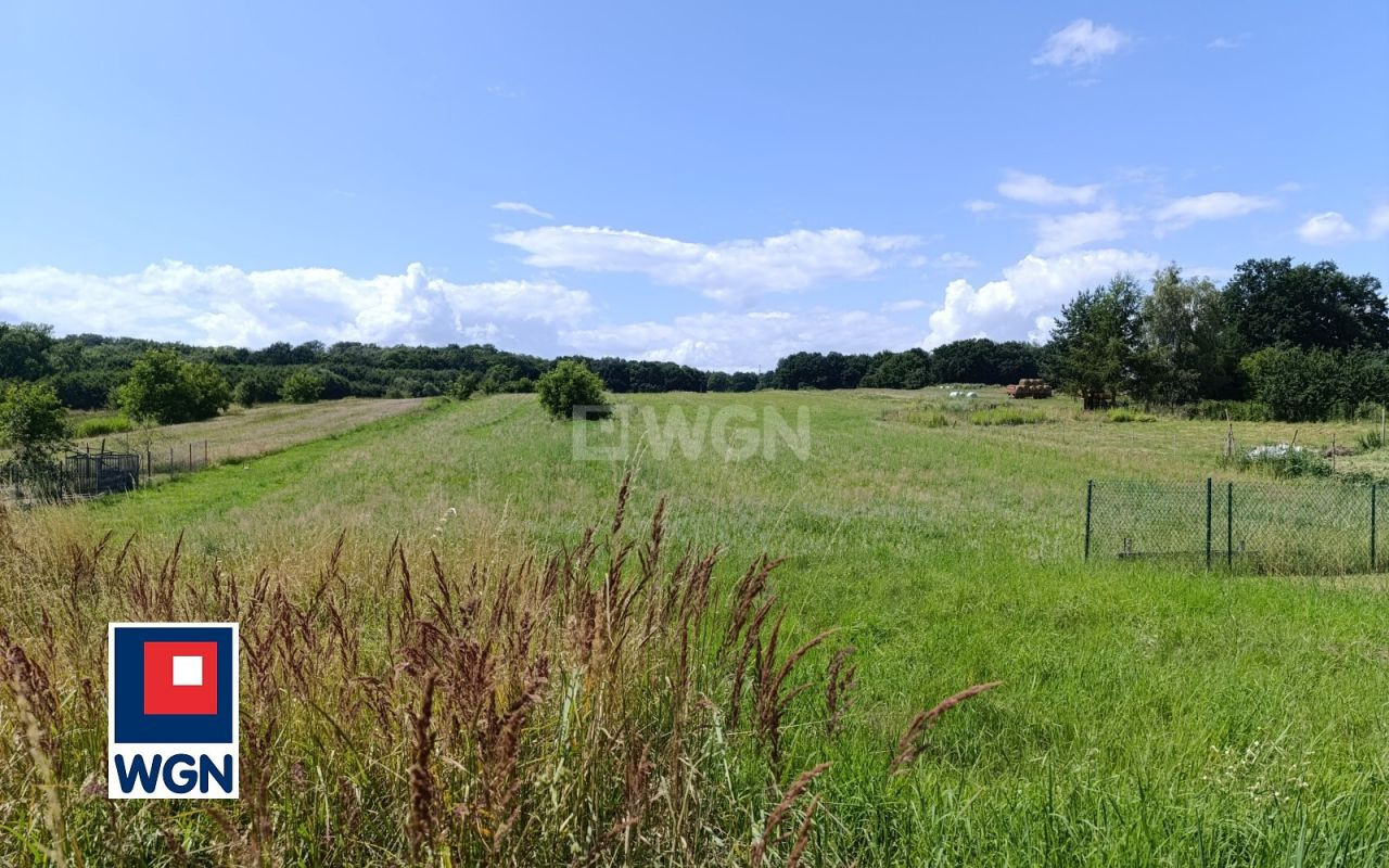 gratka-6510049 - Widok 3