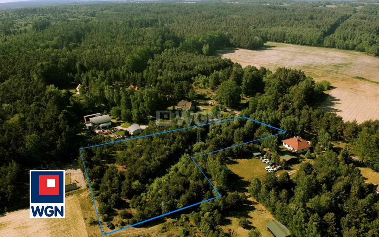 gratka-164110014 - Widok 4