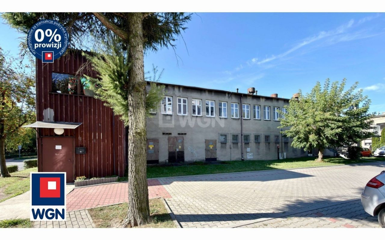 gratka-2150064 - Więcej