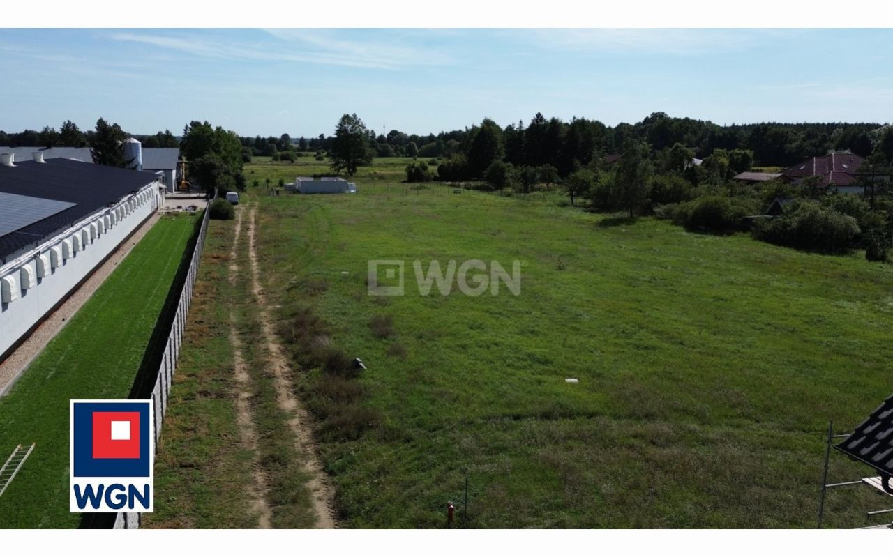 gratka-8620034 - Widok 5