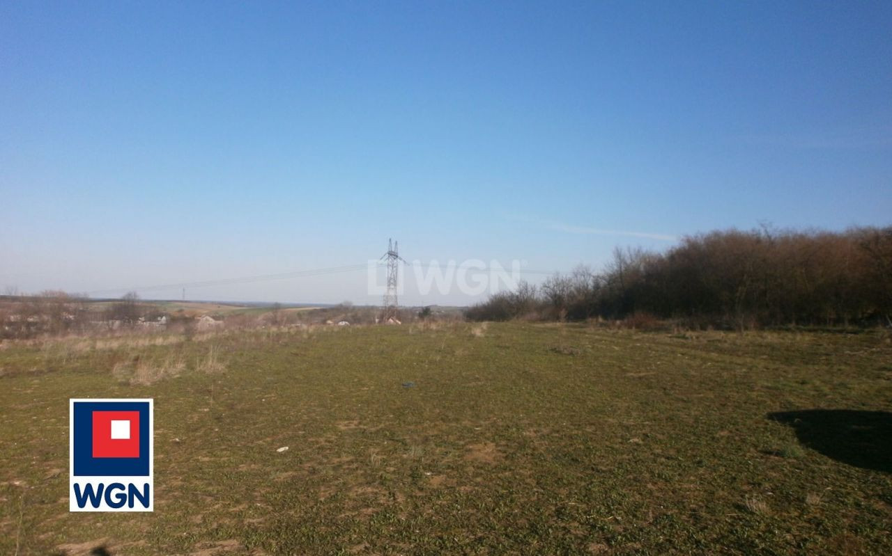 gratka-113150188 - Widok 5