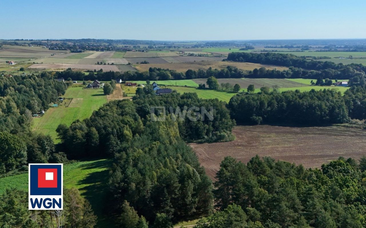 gratka-1500097 - Widok 5