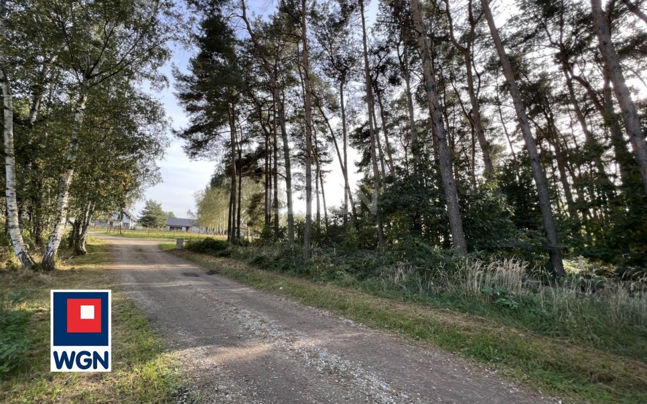 gratka-164390014 - Widok 5