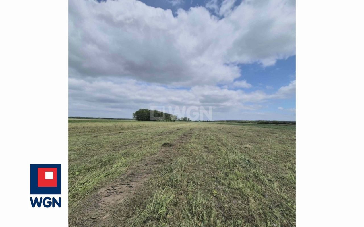 gratka-3640060 - Widok 3