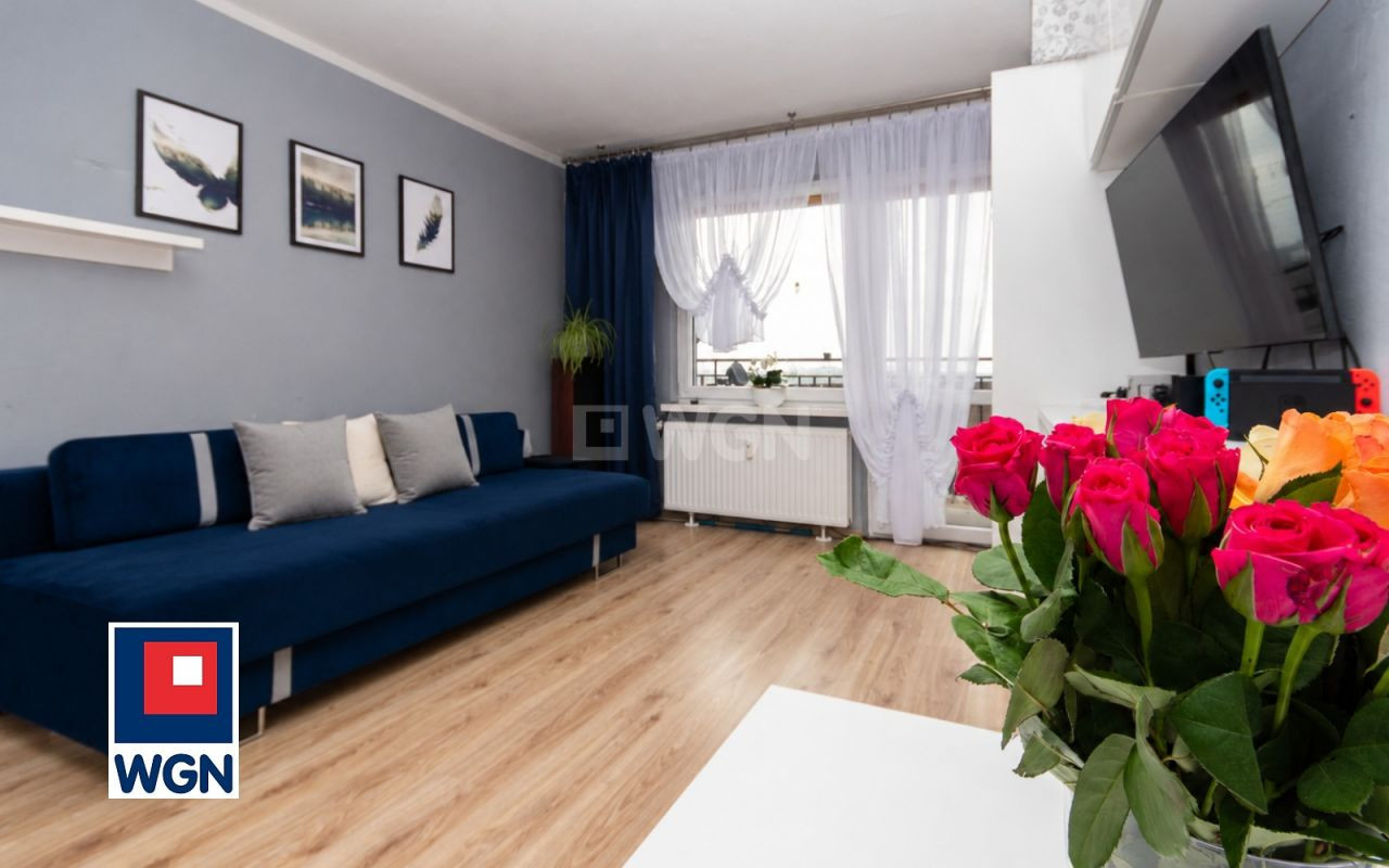 gratka-6650049