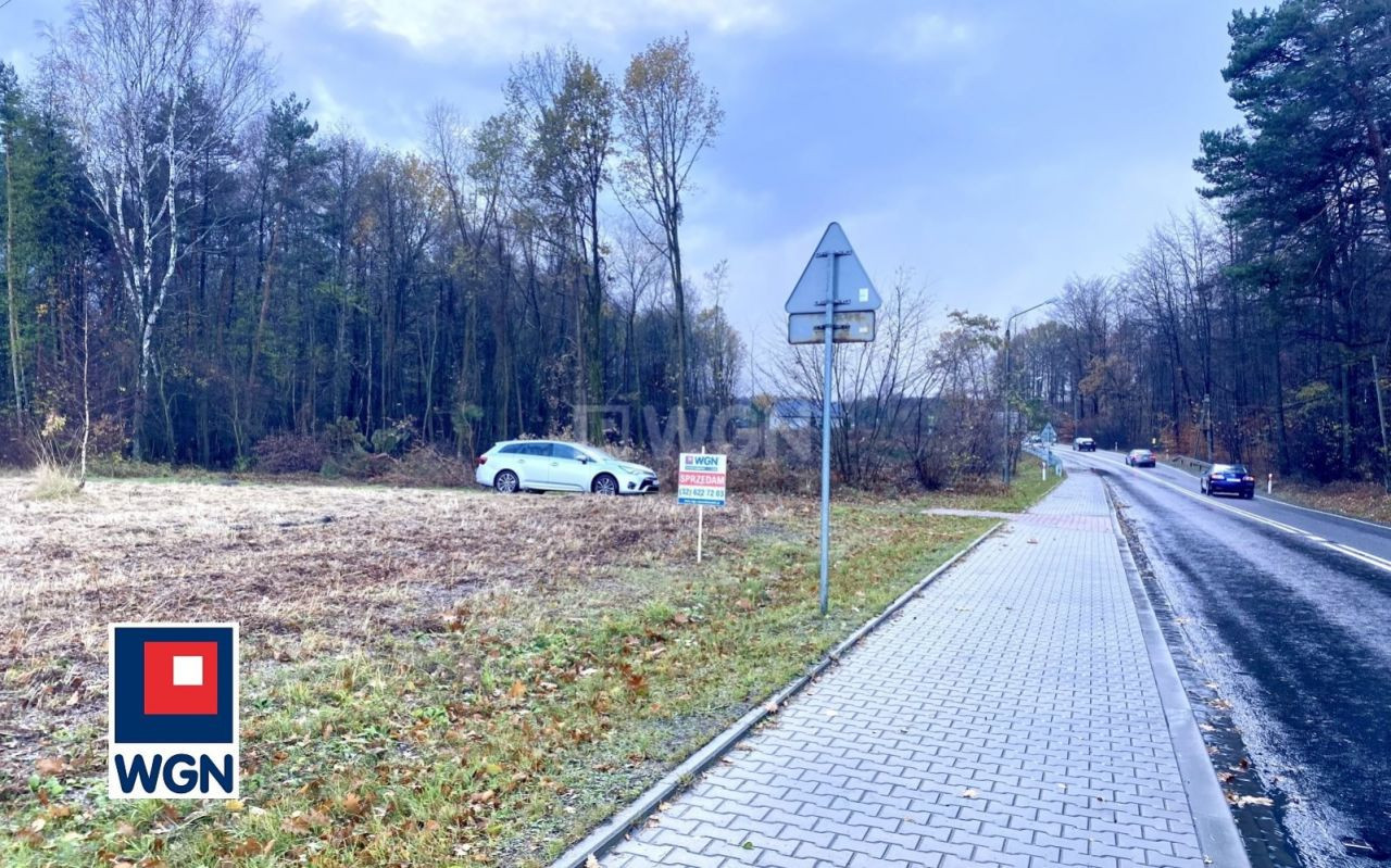 gratka-50320048 - Więcej