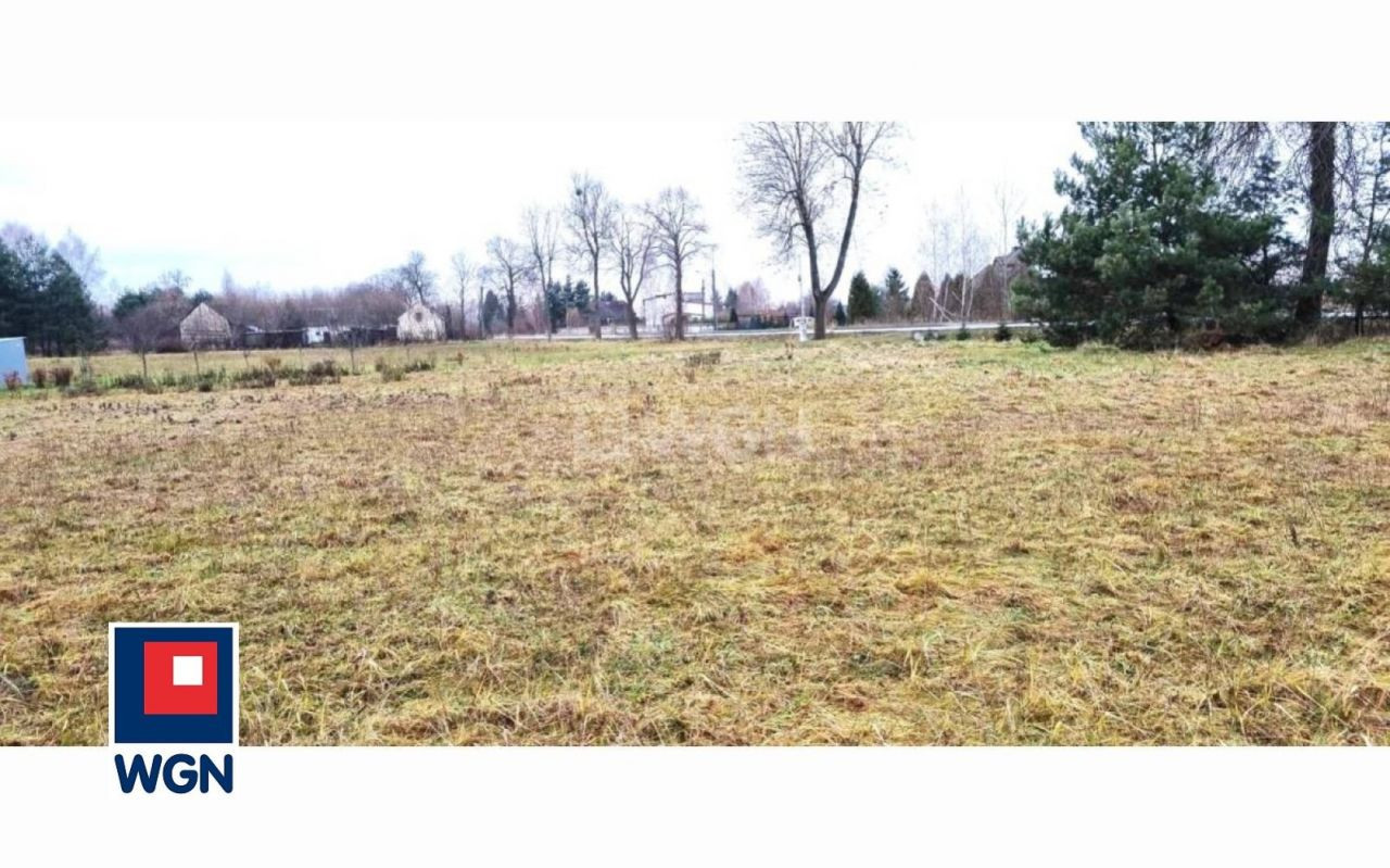 gratka-113560188 - Widok 3