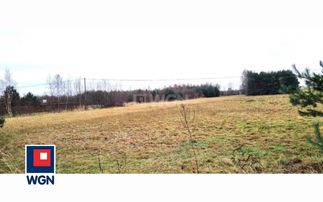 gratka-113560188 - Widok 4