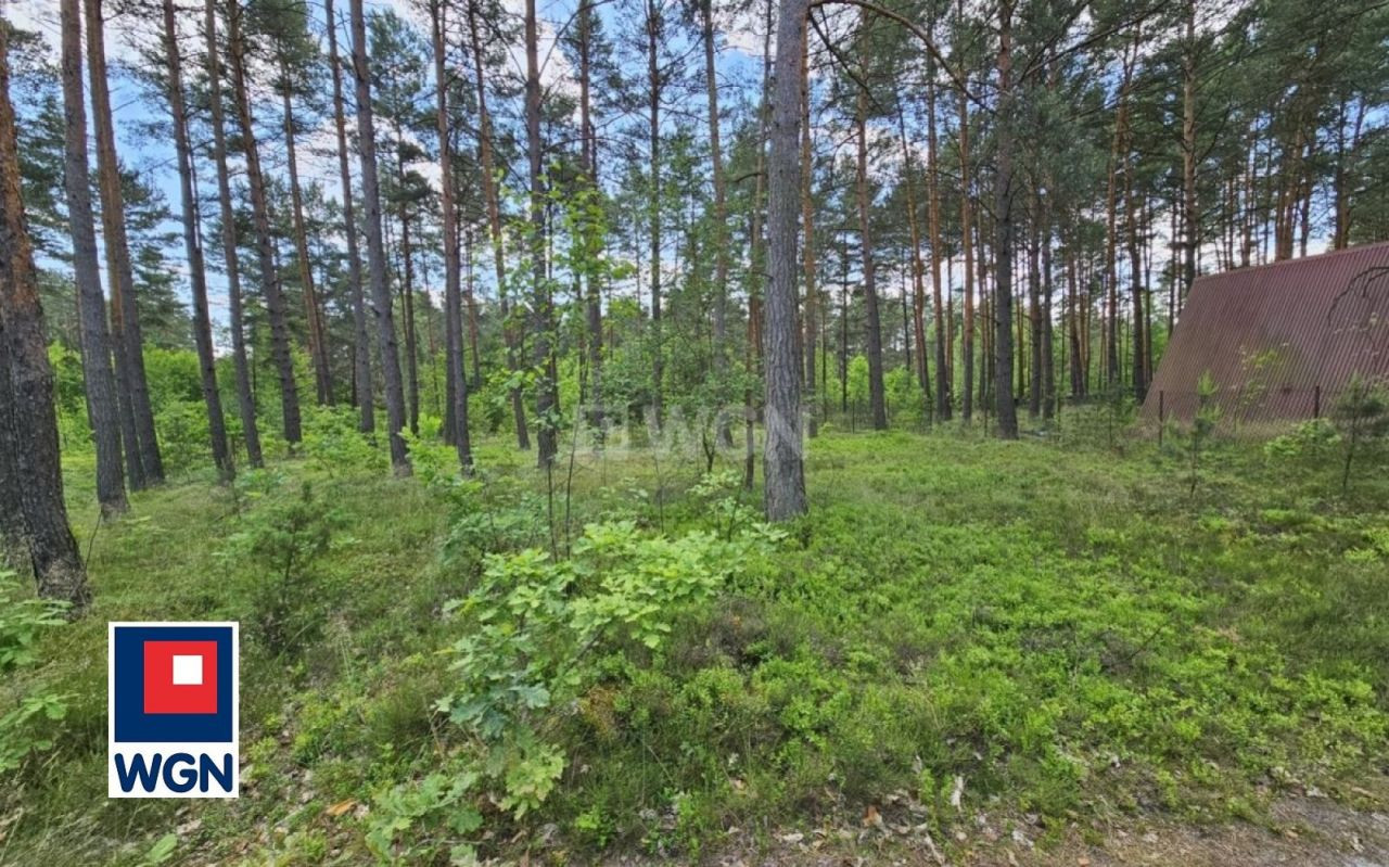 gratka-18320181 - Widok 4