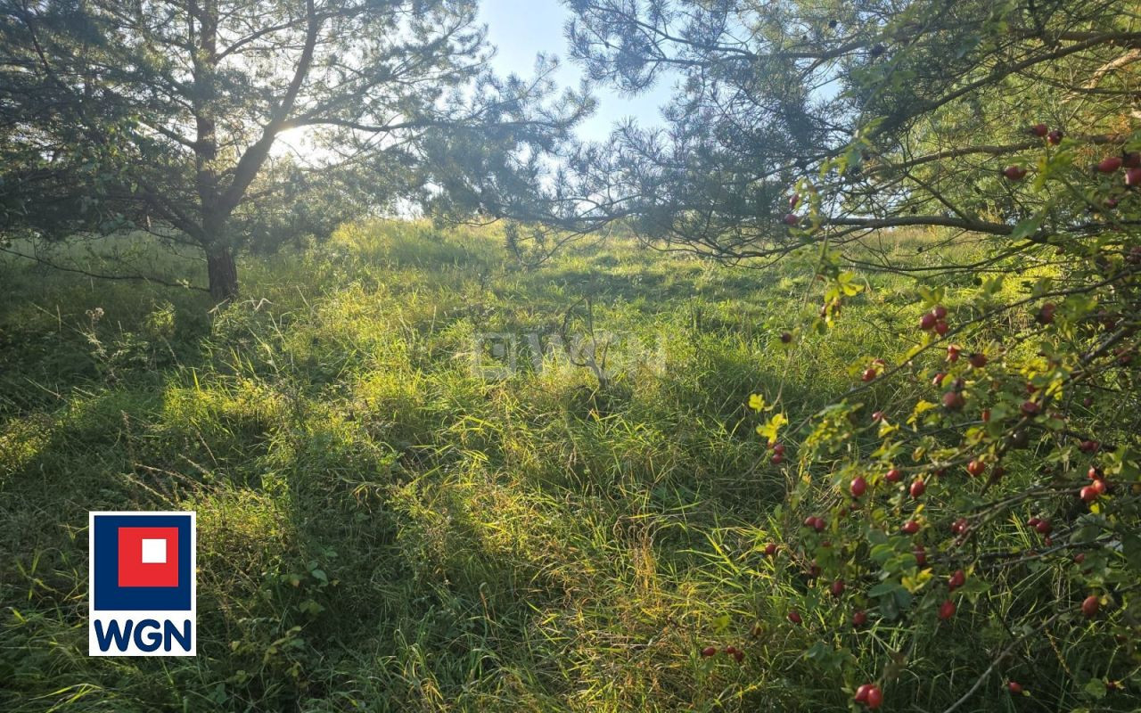 gratka-27690154 - Widok 2