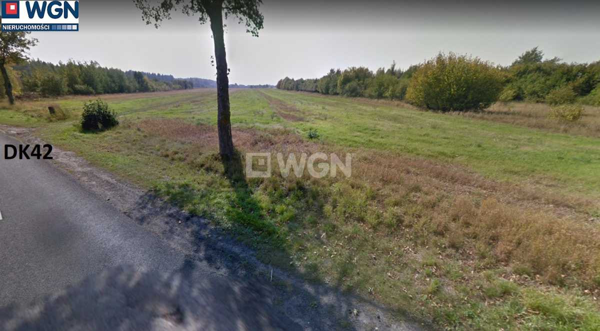 gratka-440027 - Widok 2
