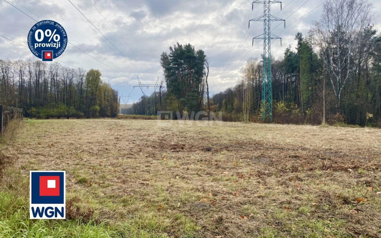 gratka-50320048 - Widok 2
