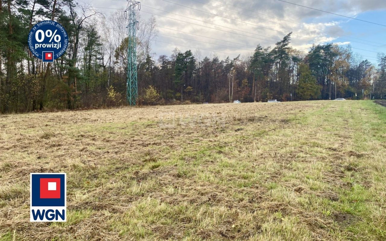 gratka-50320048 - Widok 3