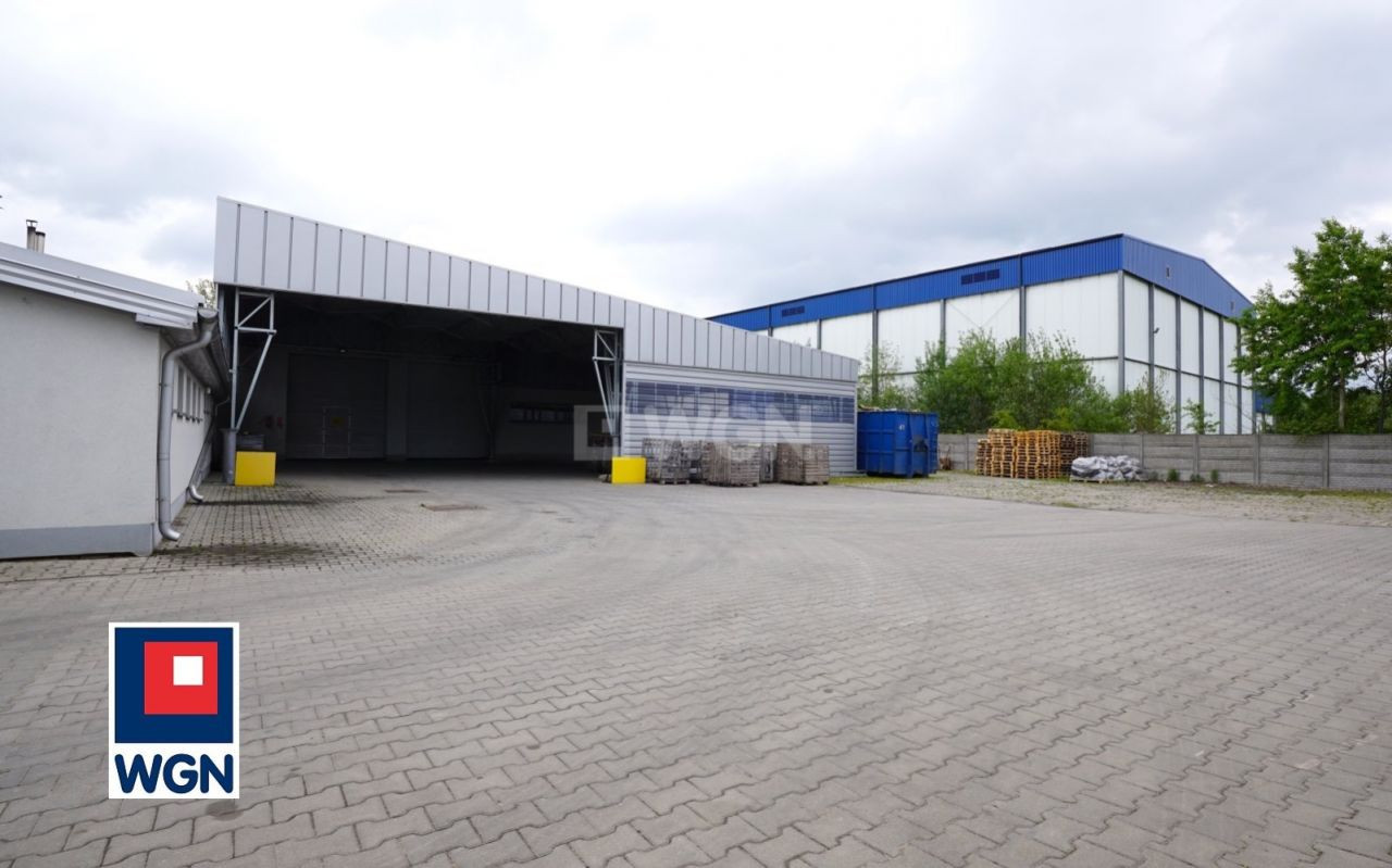 gratka-64630084 - Widok 5