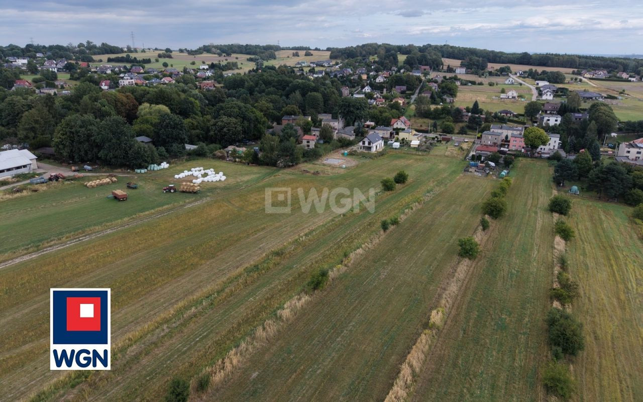 gratka-6510049 - Więcej
