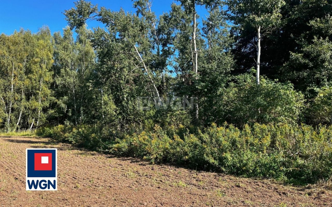 gratka-1500097 - Widok 3