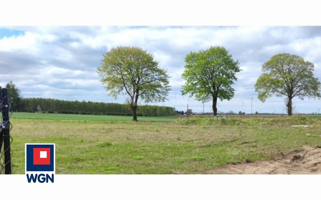 gratka-21630046 - Widok 2