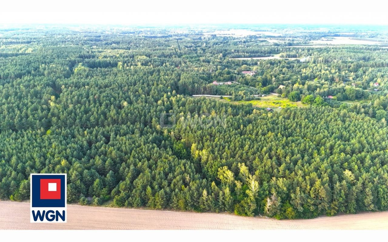 gratka-2470081 - Widok 3