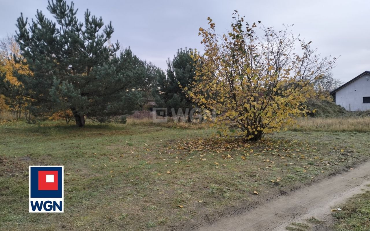 gratka-26670154 - Widok 2