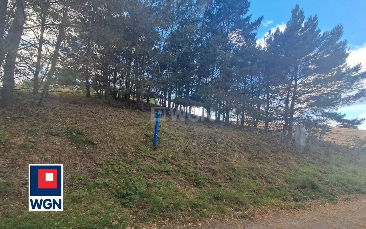 gratka-27690154 - Więcej