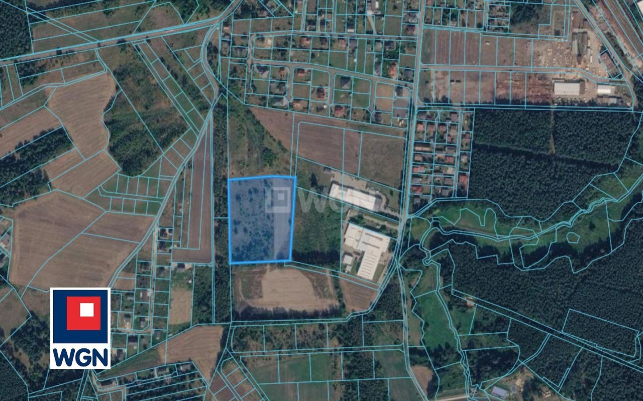 gratka-420125 - Widok 2