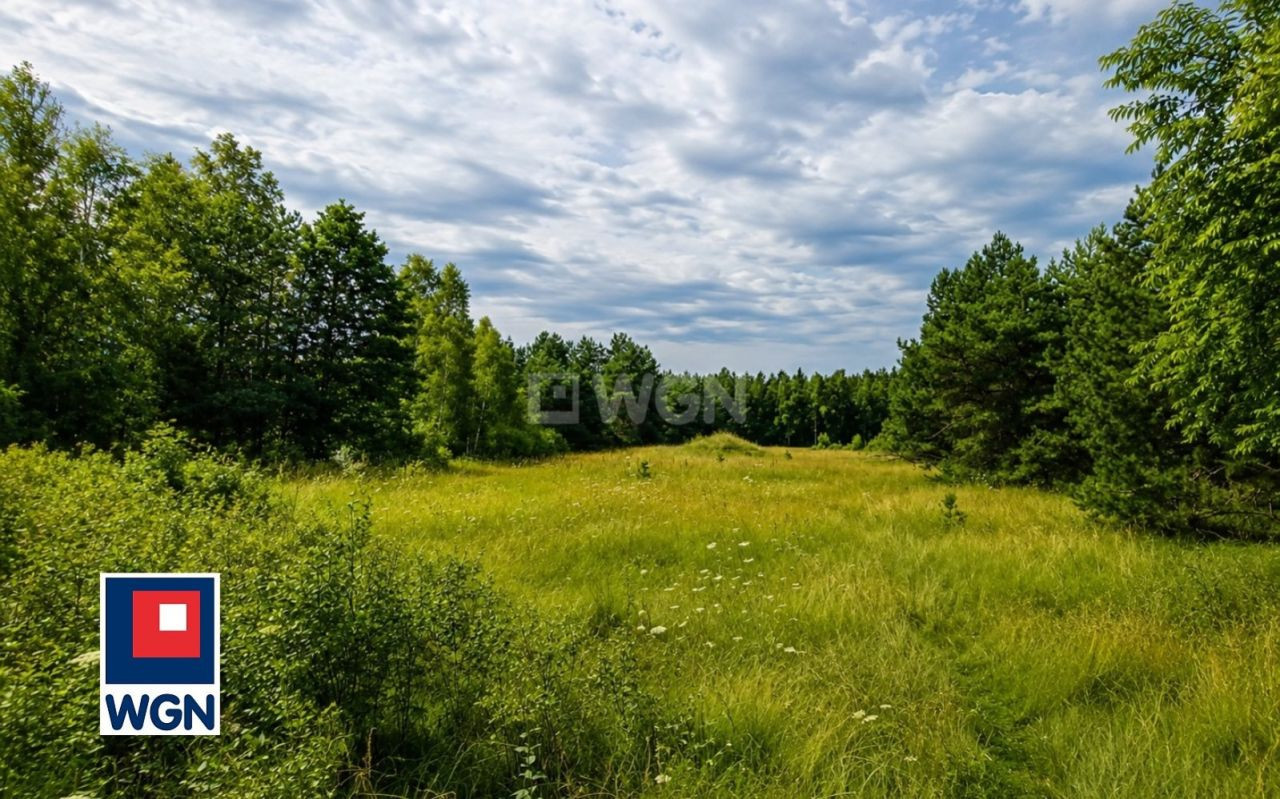 gratka-43290032 - Widok 4