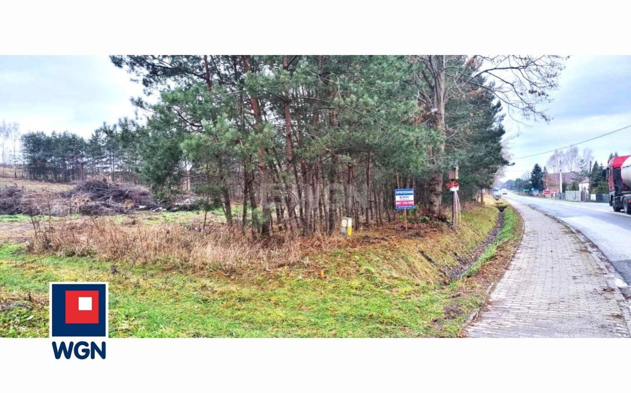 gratka-113530188 - Widok 2