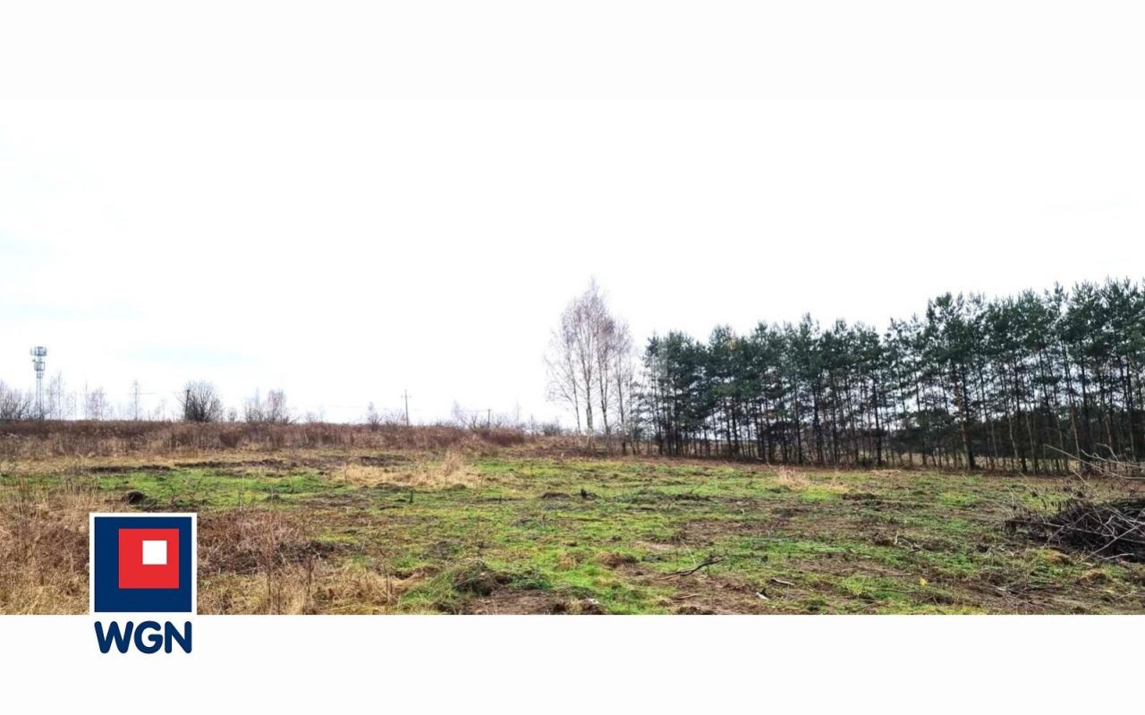 gratka-113530188 - Więcej