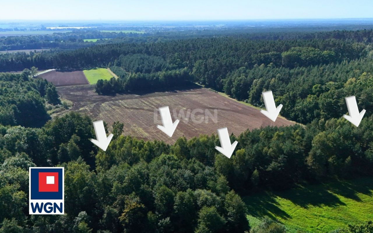 gratka-1500097 - Więcej
