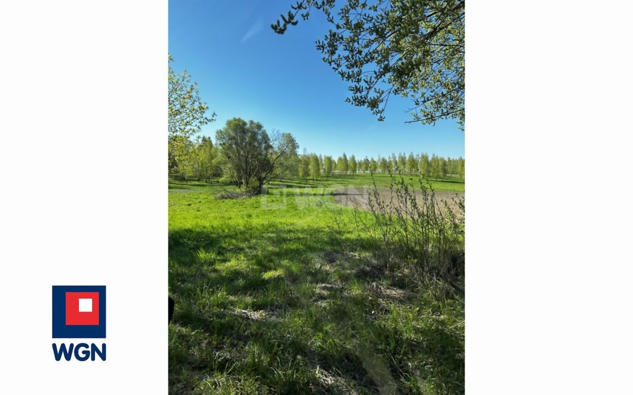 gratka-15150147 - Widok 5