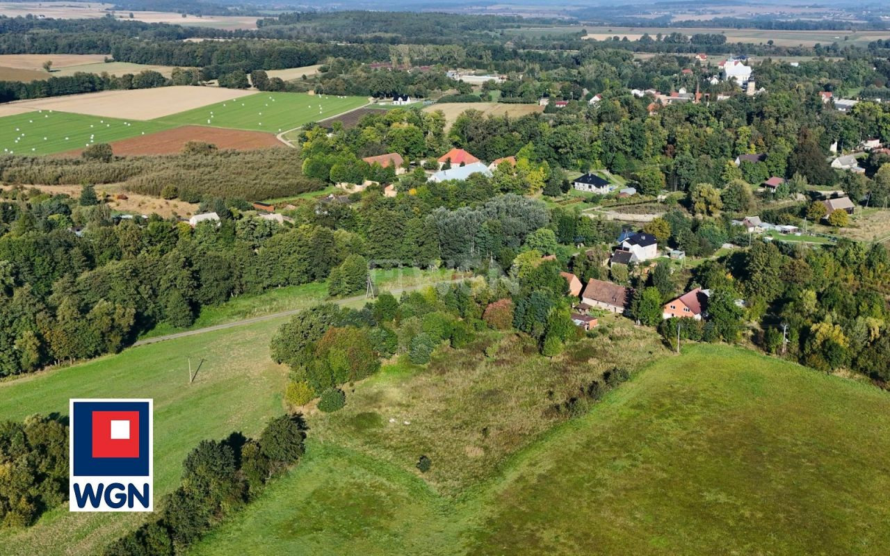 gratka-1550097 - Widok 4
