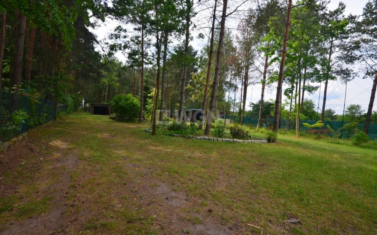 gratka-4380027 - Więcej