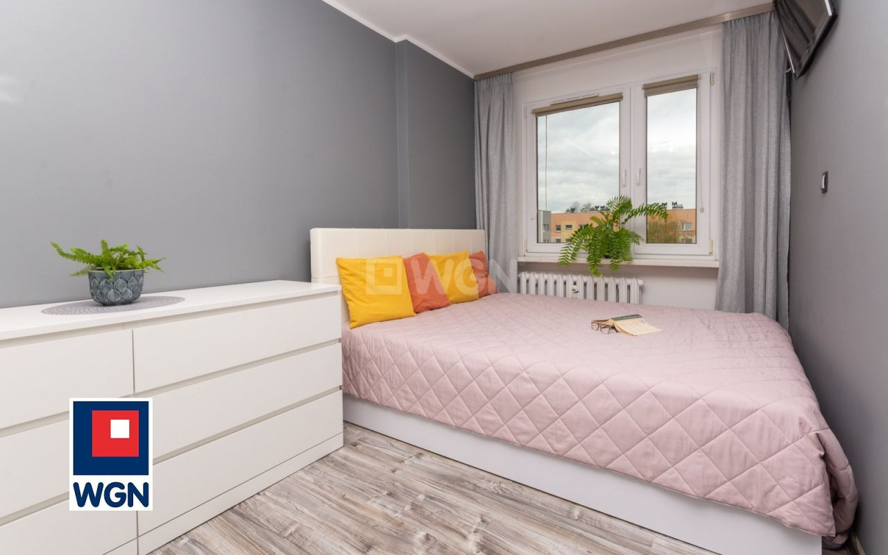 gratka-6680049