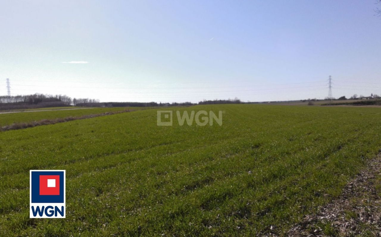 gratka-113230188 - Więcej