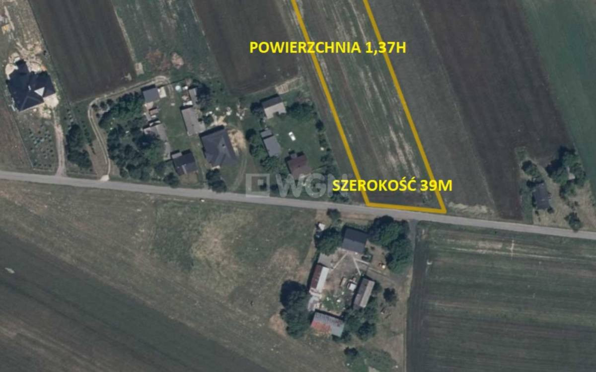 gratka-1210027 - Widok 2